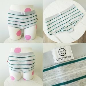 Gilly Hicks Stripe Boyshort Cotton Brief Panty NWT